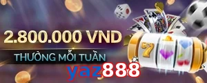 yaz888